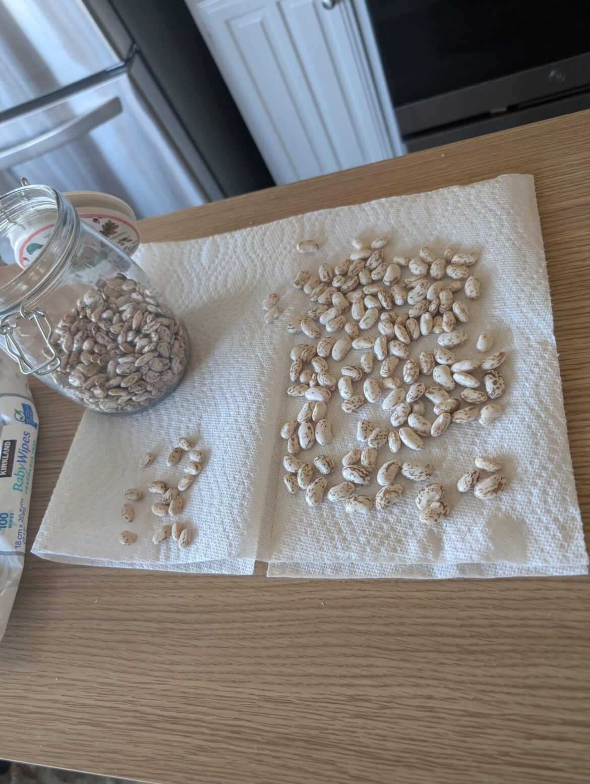 Wound up with a little over a pound and a half of pinto beans this year!