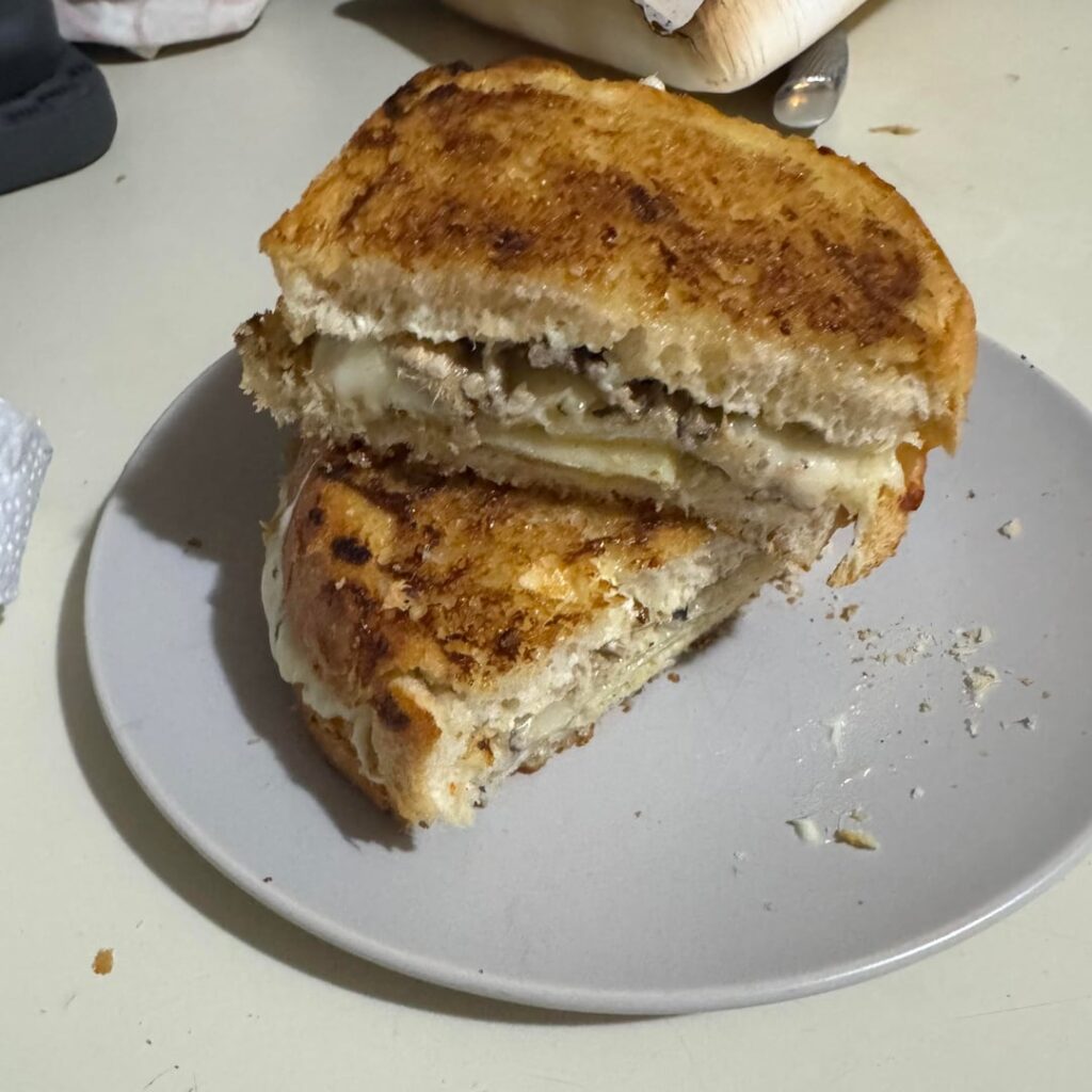 I made a sardine mustard melt last night
