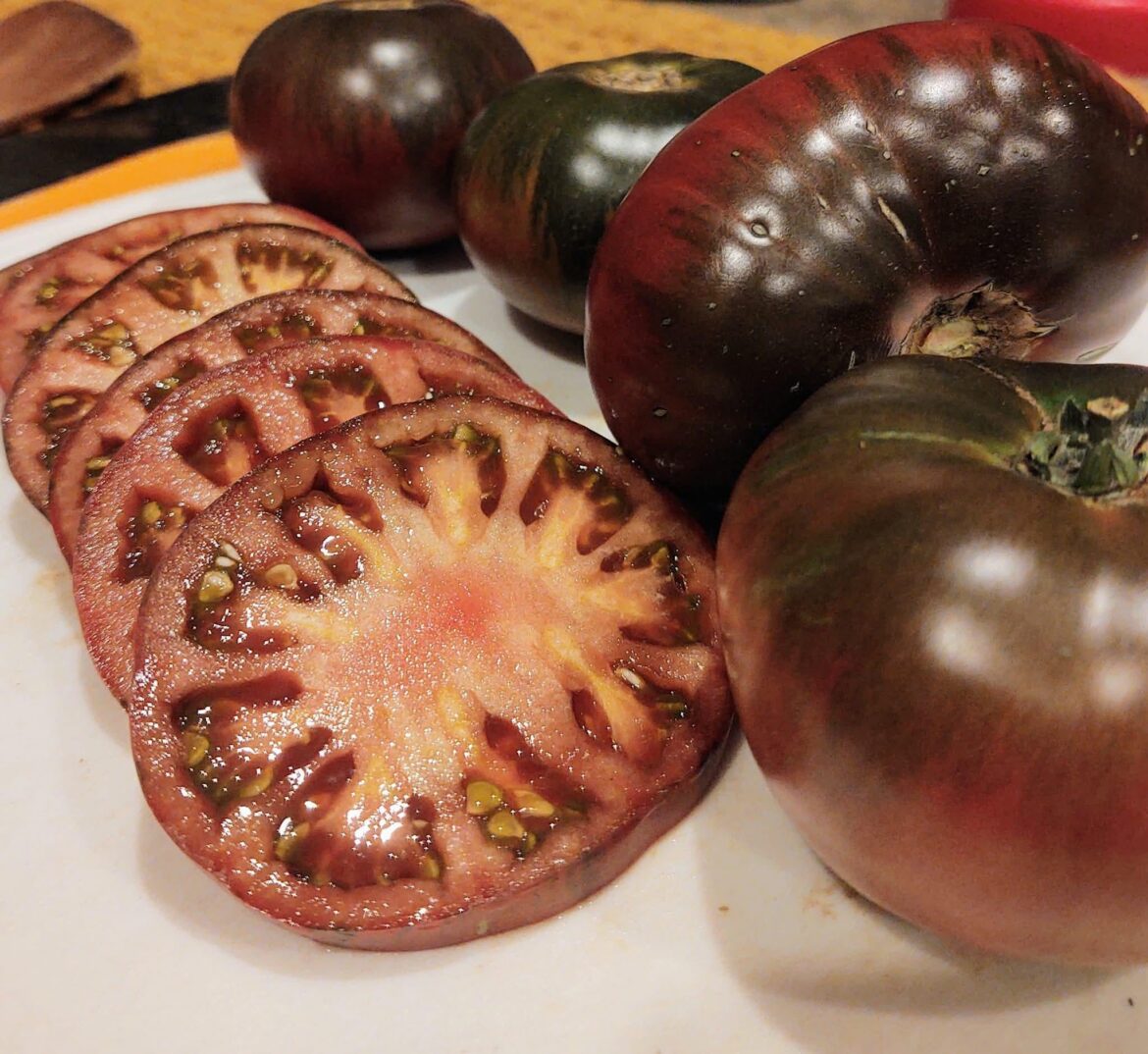 Brought my Cherokee Purples inside to finish ripening. Success!