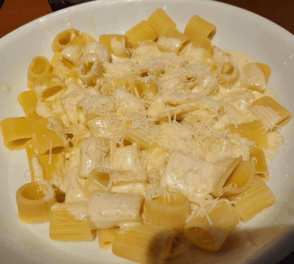 Rigatoni with alfredo and parmesan.