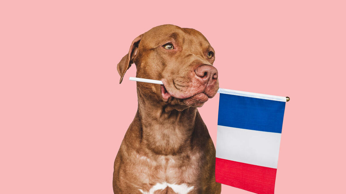 Happy National French Dip Day! | Sunny 106.5