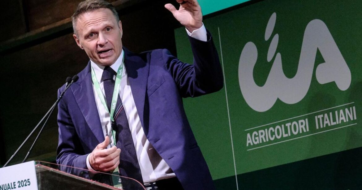 ‘Fake’ carbonara sauce causes outrage in Italy | News