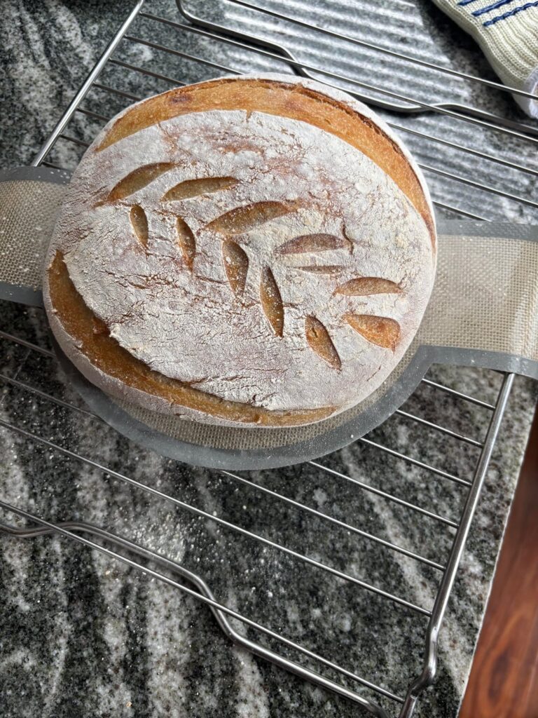 What did I do wrong omg?