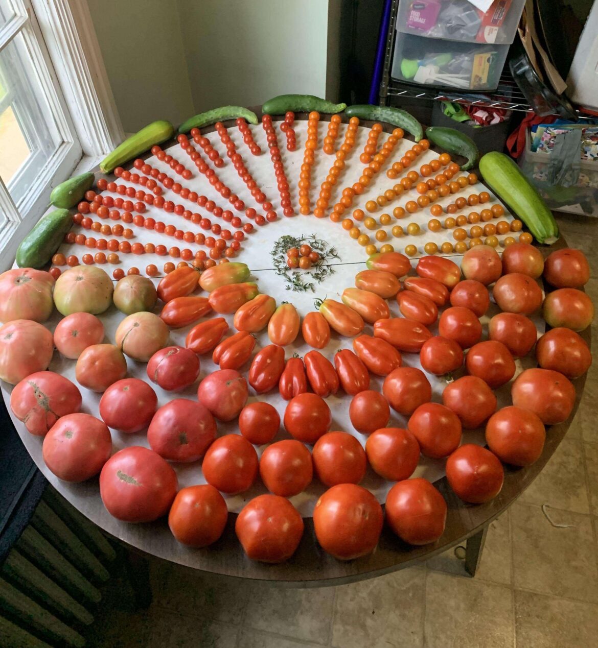 Tomato art