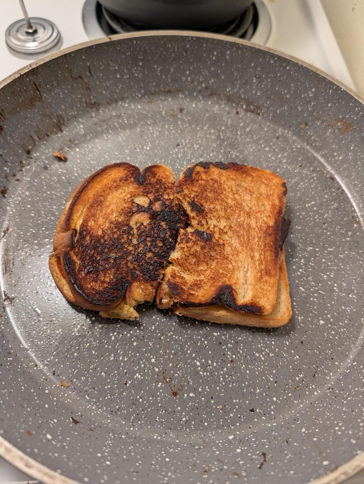 Frankenstein grilled cheese made of mine and my girlfriend's leftovera from last night