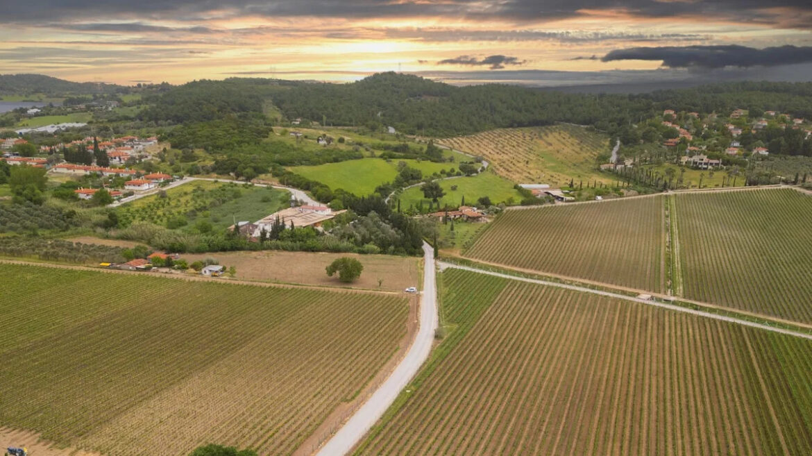 Yahoo lifestyle home