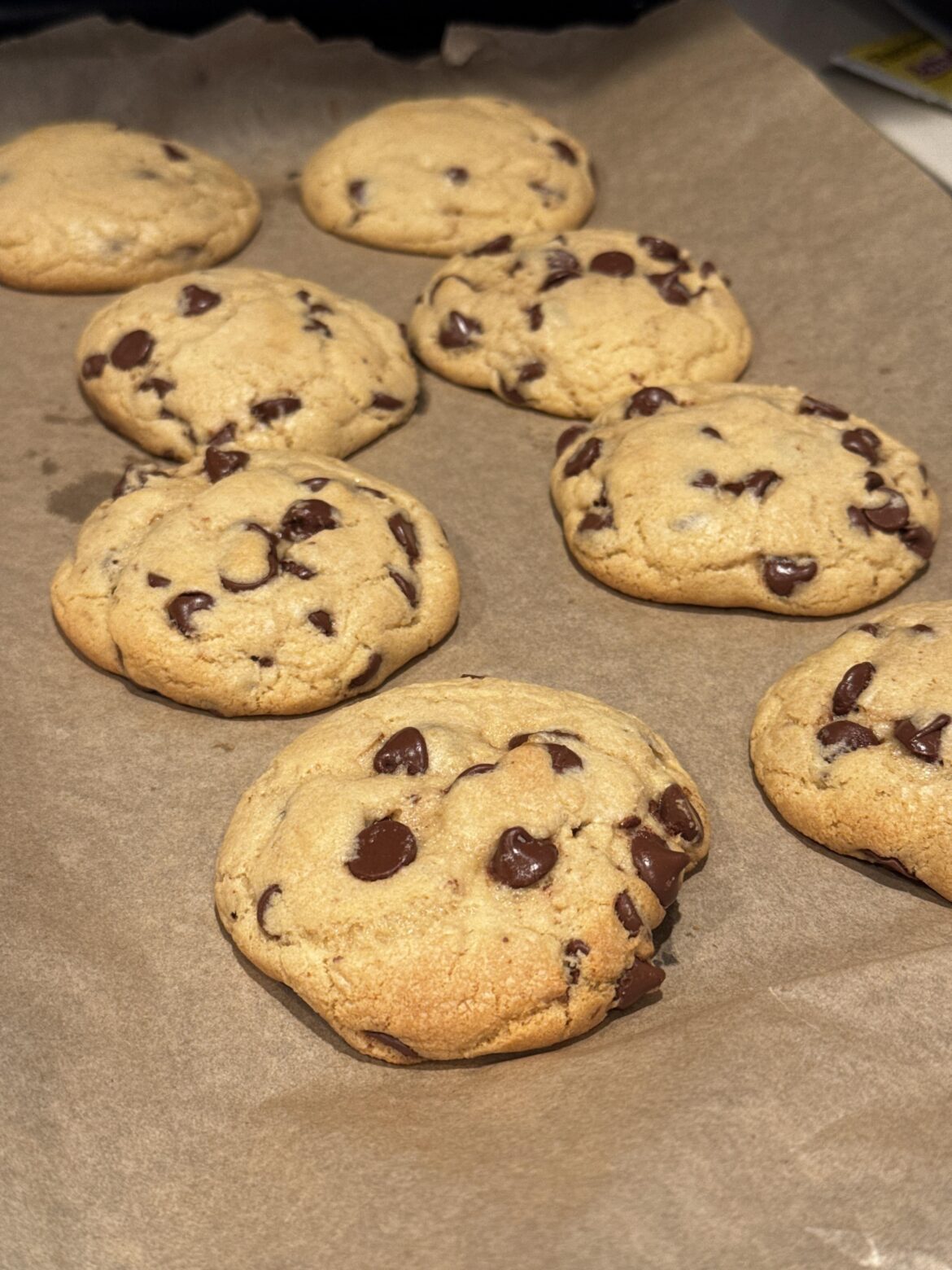 Homemade chocolate chip cookies