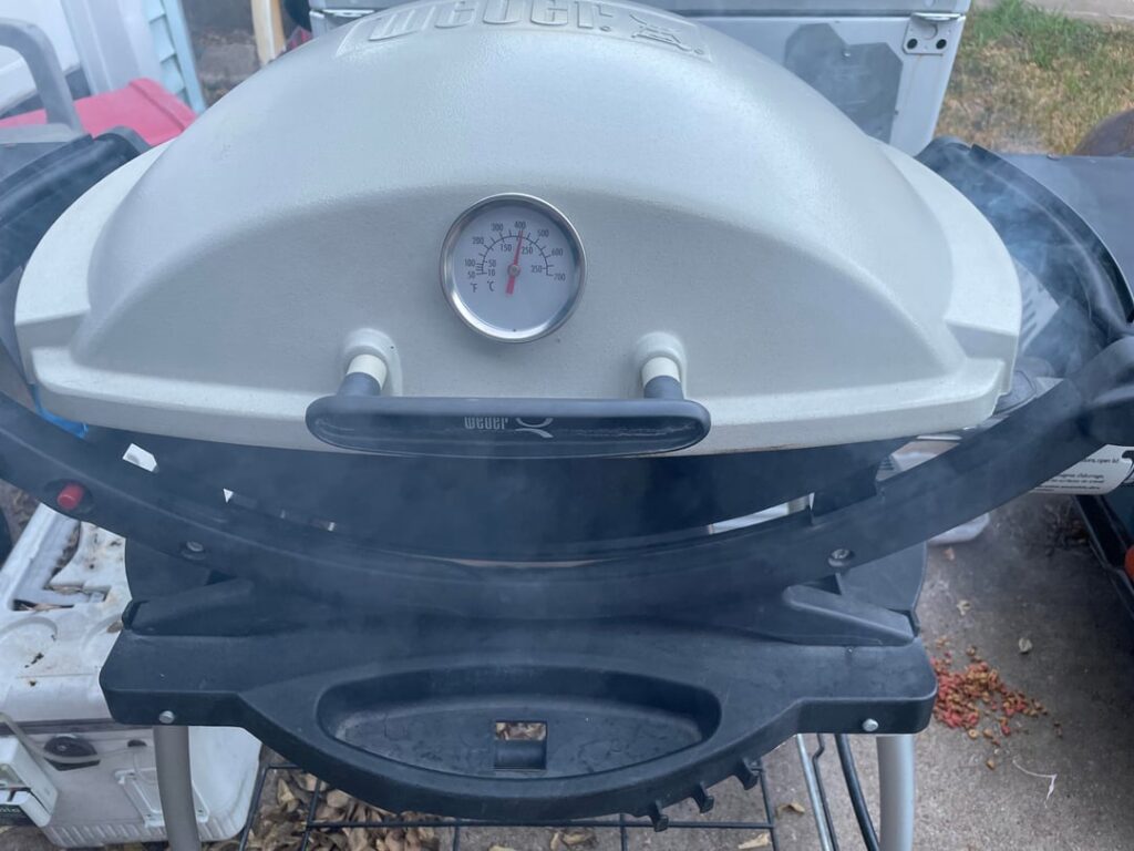 First cook on Weber Q200