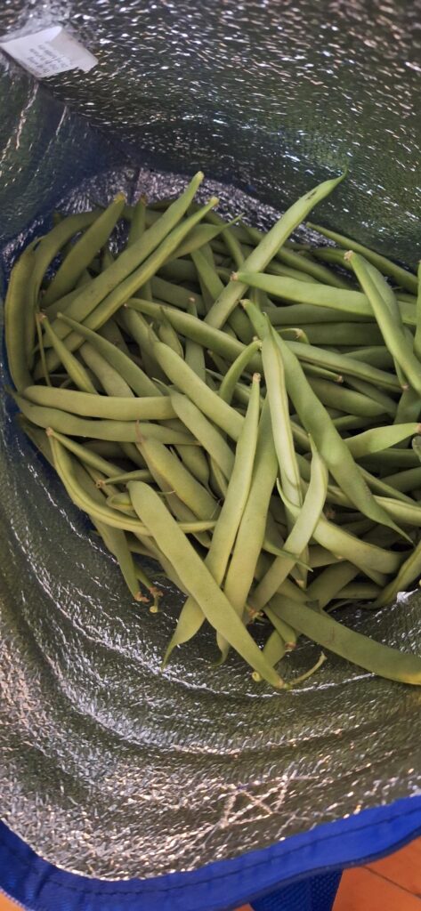 Grew a bunch of these, how to make tasty?