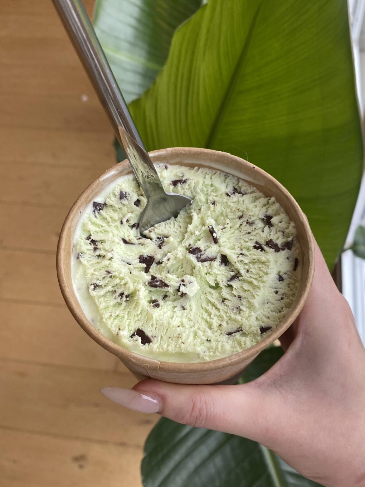 classic mint chocolate chip!