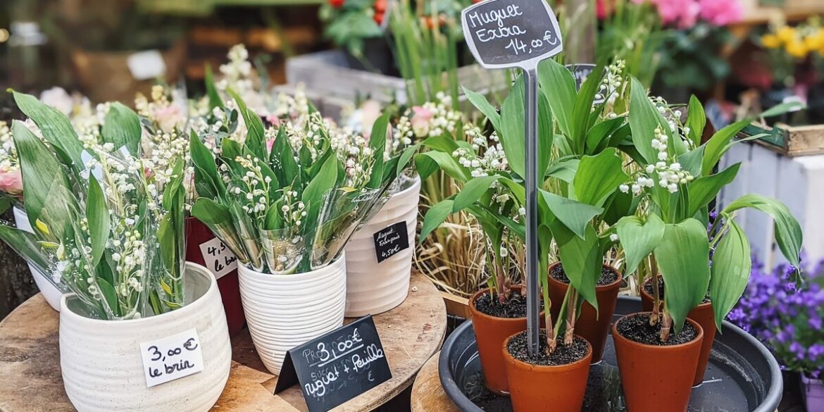 Which shops and services remain open on Labour Day? Which shops and services remain open on Labour Day?