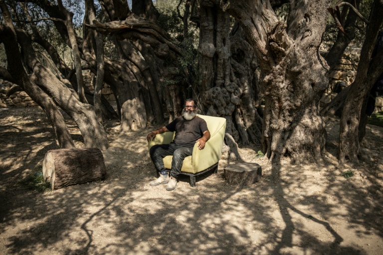 West Bank’s ancient olive tree a ‘symbol of Palestinian endurance’ Italian and Japanese experts estimate the tree to be 3,000 to 5,500 years old