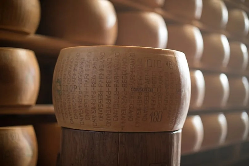 After a brine bath and identity marking, the wheels rest in ageing rooms, often referred to as “cheese cathedrals”.