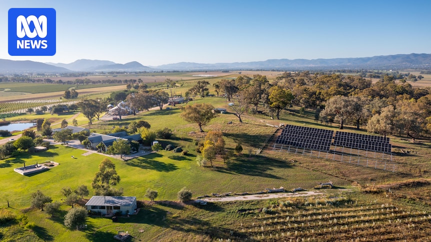 Mudgee’s Lowe Wines becomes Australia’s largest winery to go off grid Mudgee's Lowe Wines becomes Australia's largest winery to go off grid