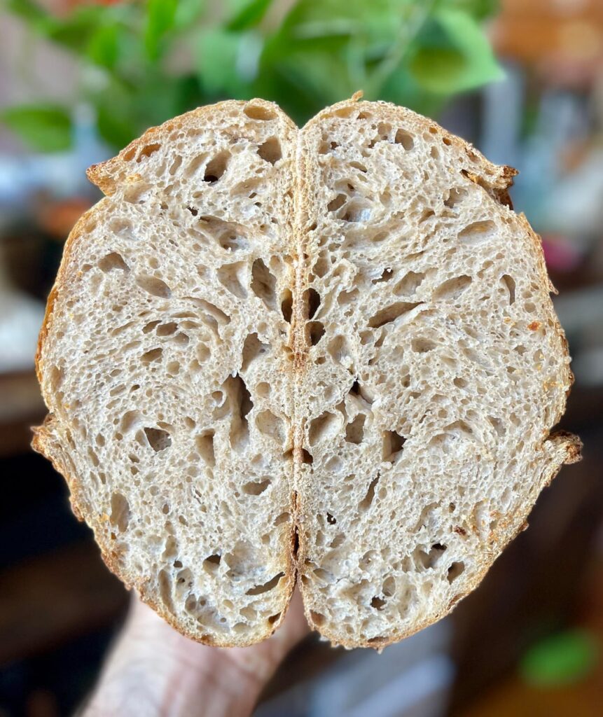 Skipped Autolyse Skipped Autolyse