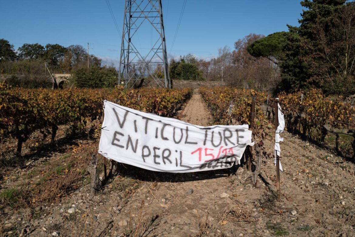 'We earn about one cent in net profit on a bottle sold for €3.45'
