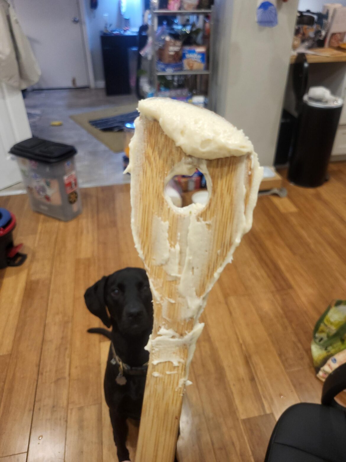 People say I bake the best cakes in the world, they can't believe it- everyone says its the best cake they've ever tasted, hands down.