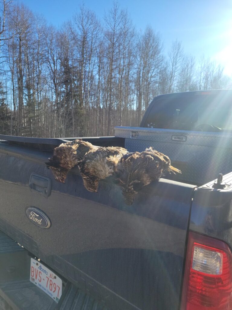 Ruffed Grouse Teriyaki Stir-fry