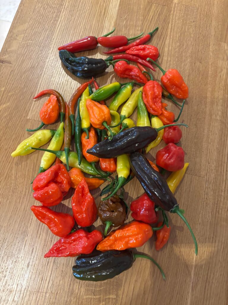 Still going strong outdoors in UK