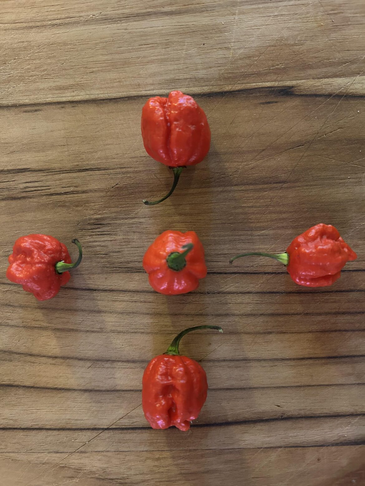 Dragon’s Breath. Worse than reaper, I think, but < Peppah X