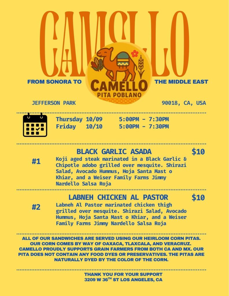 Camello Pop Up