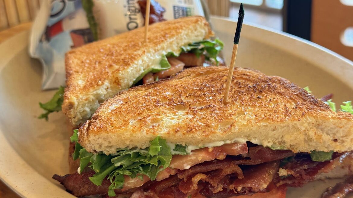 Brevard’s 5 best sandwich choices for National Sandwich Day. Brevard's 5 best sandwich choices for National Sandwich Day.