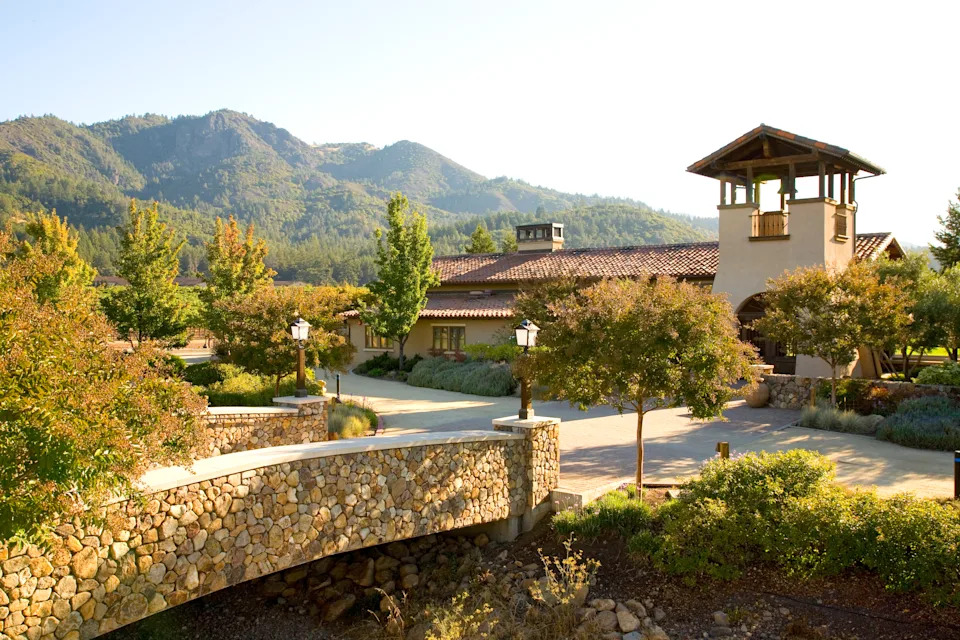 Vineyard views at St. Francis Winery & Vineyards