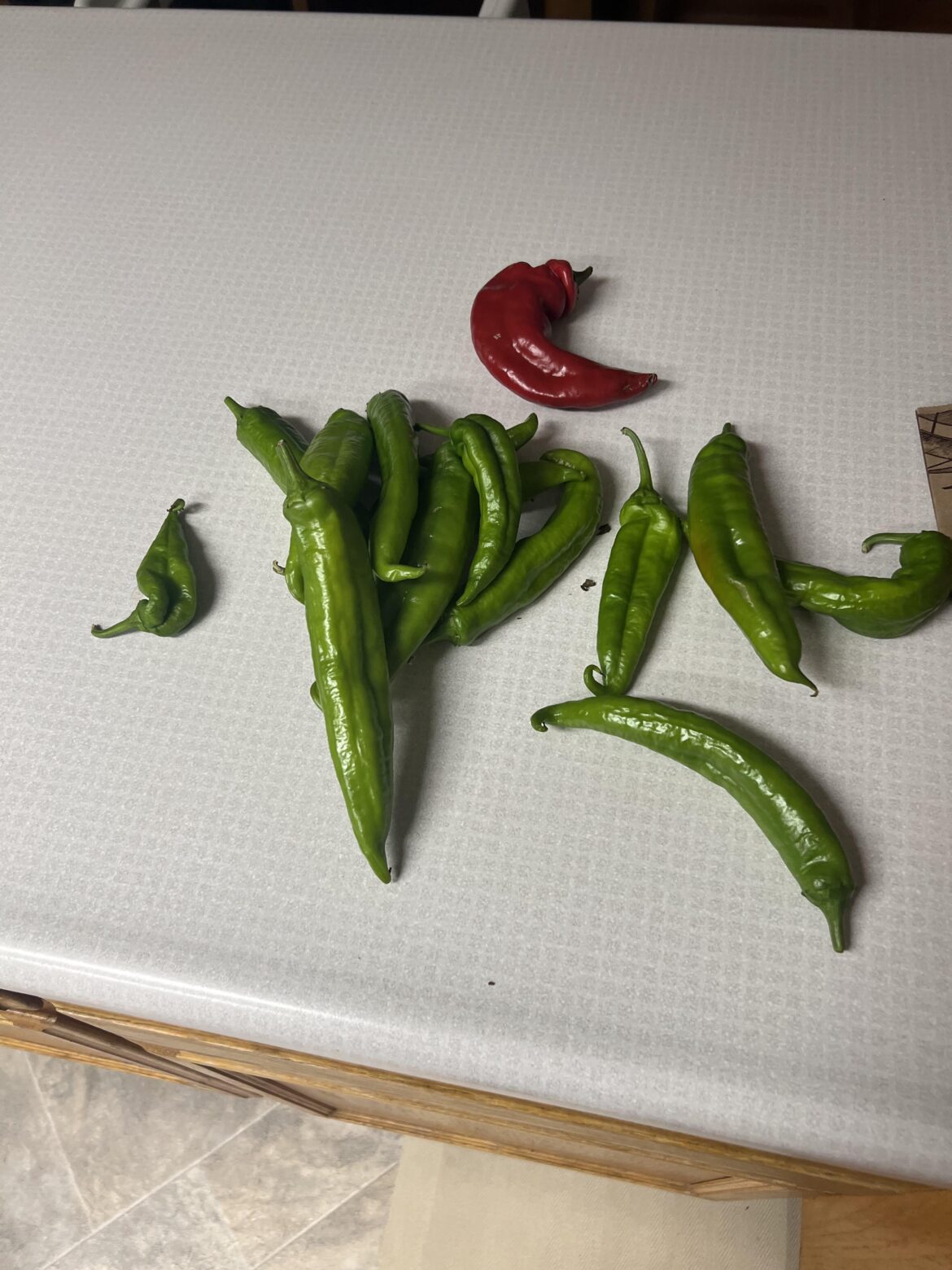 What would you do with this?