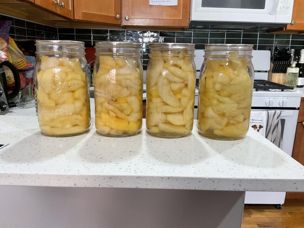 Worried that siphoning ruined my canned apples