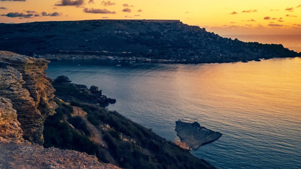 Malta's 2024 Olive Yield Plummeted