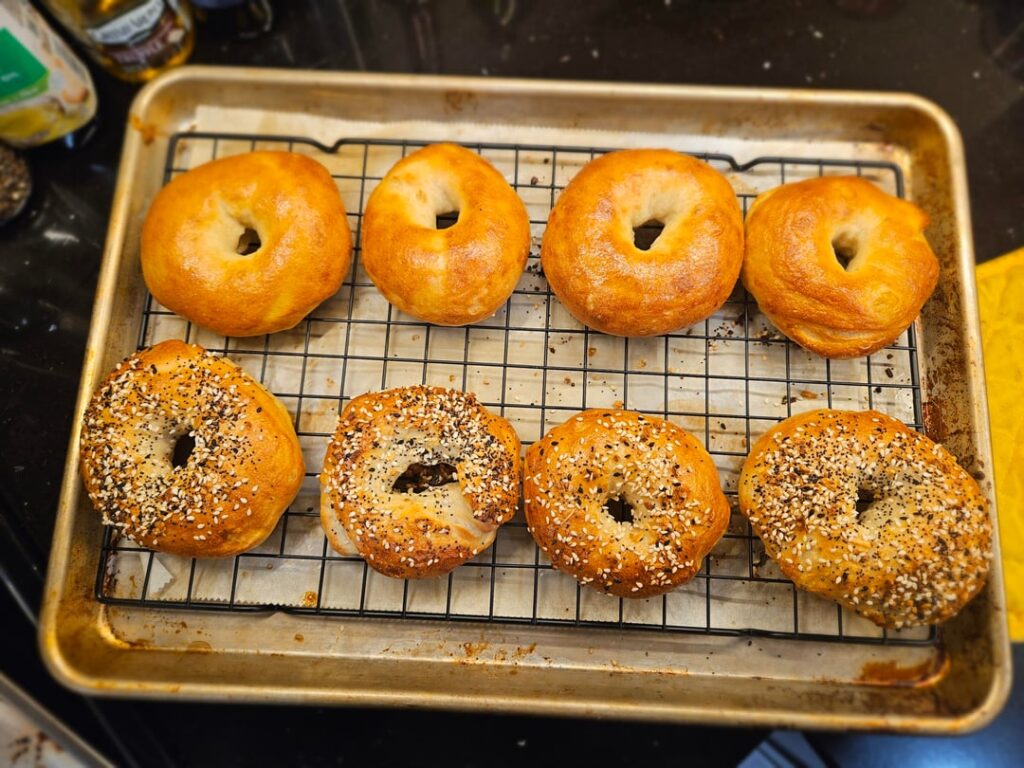 Happy Accident Bagels