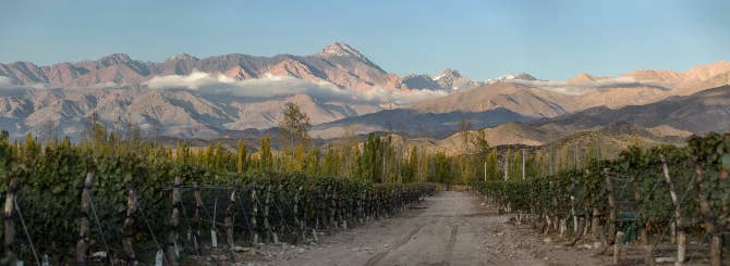 The high-altitude Finca Las Cuchillas vineyard in San Pablo, with the snow-dusted Andes in the background.