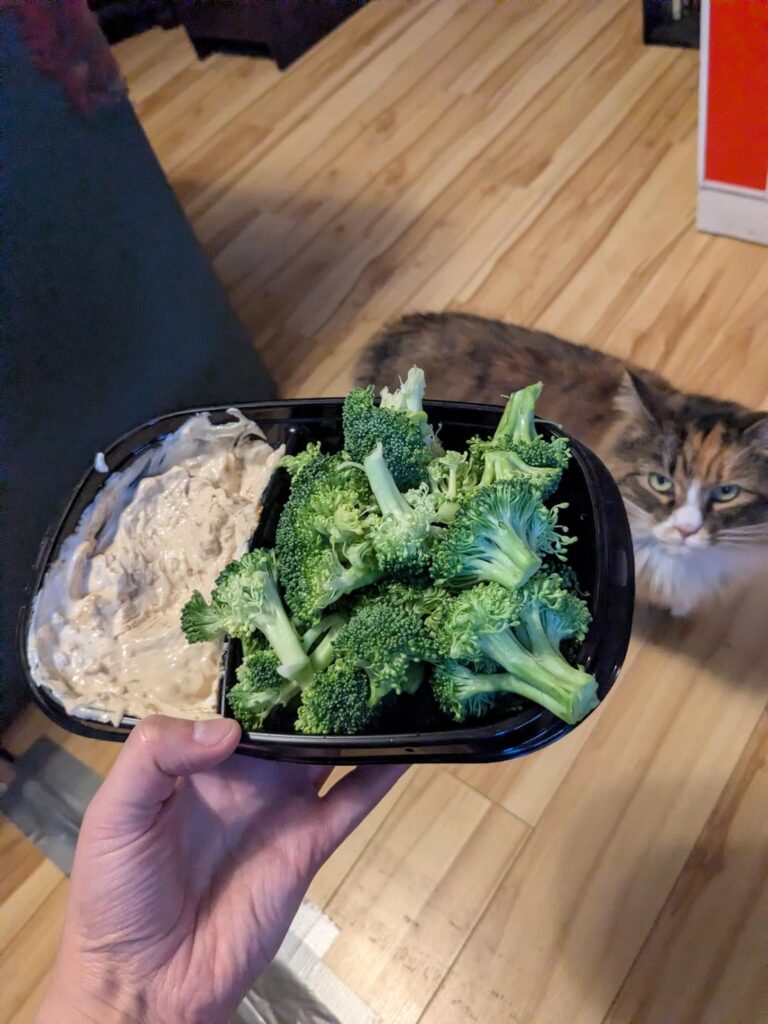 took honeybison's advice of using greek yogurt + onion soup mix to make onion dip!