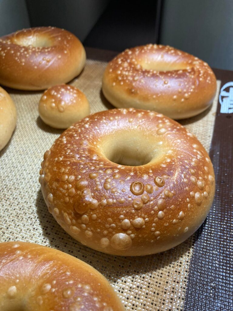50 hours cold fermented bagels