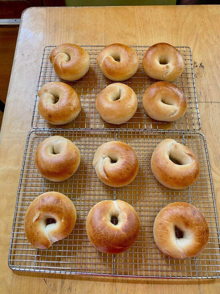 Today’s bagels