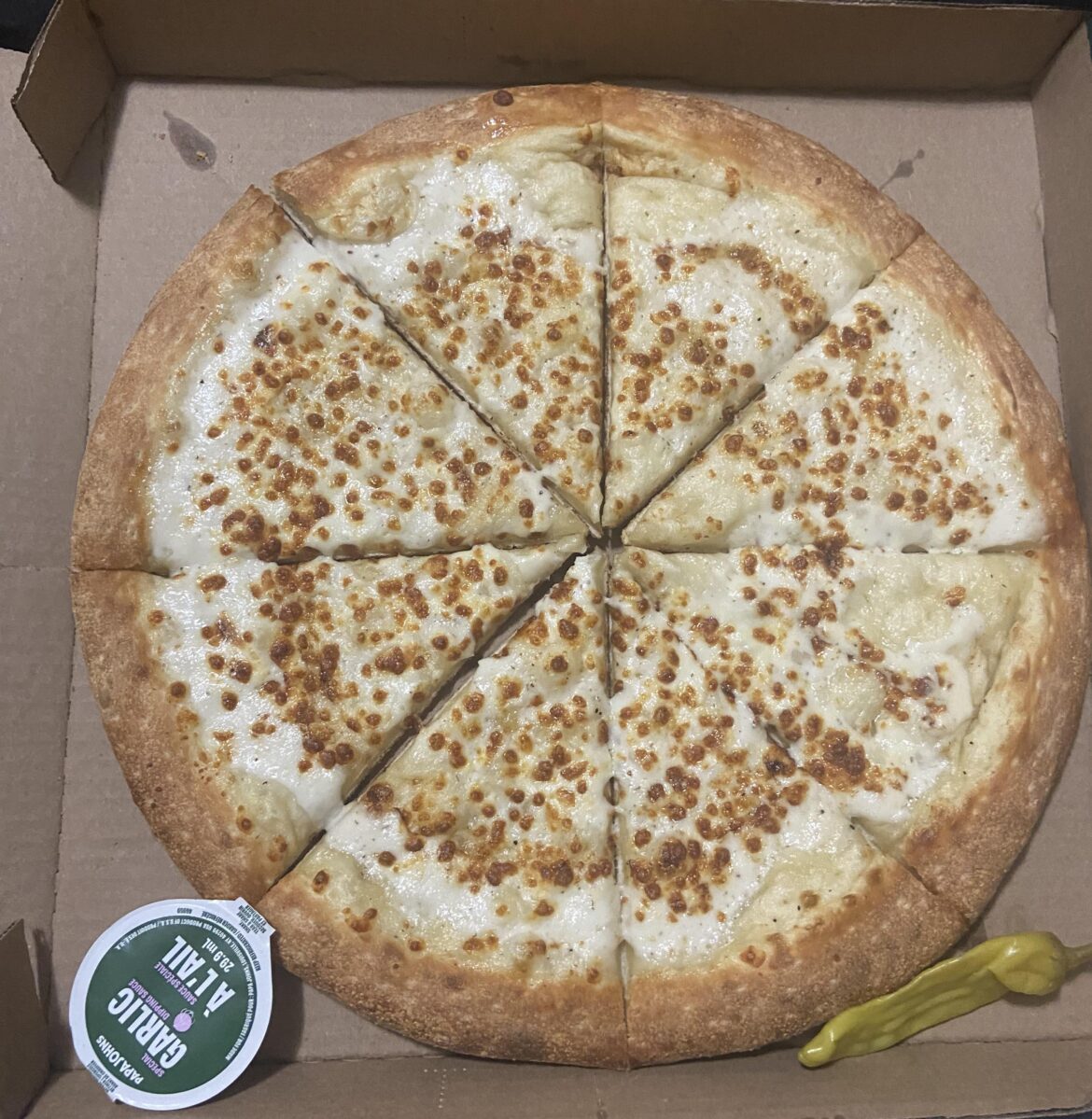 we ordered a PEPPERONI PIZZA