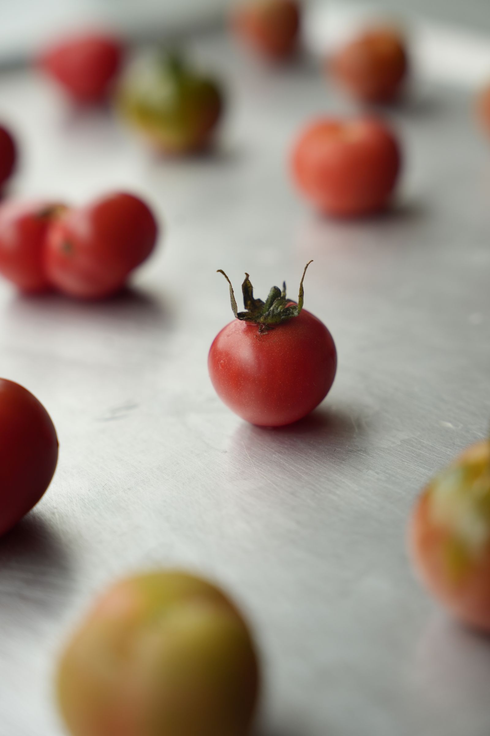 Tomatoes from the terrace garden