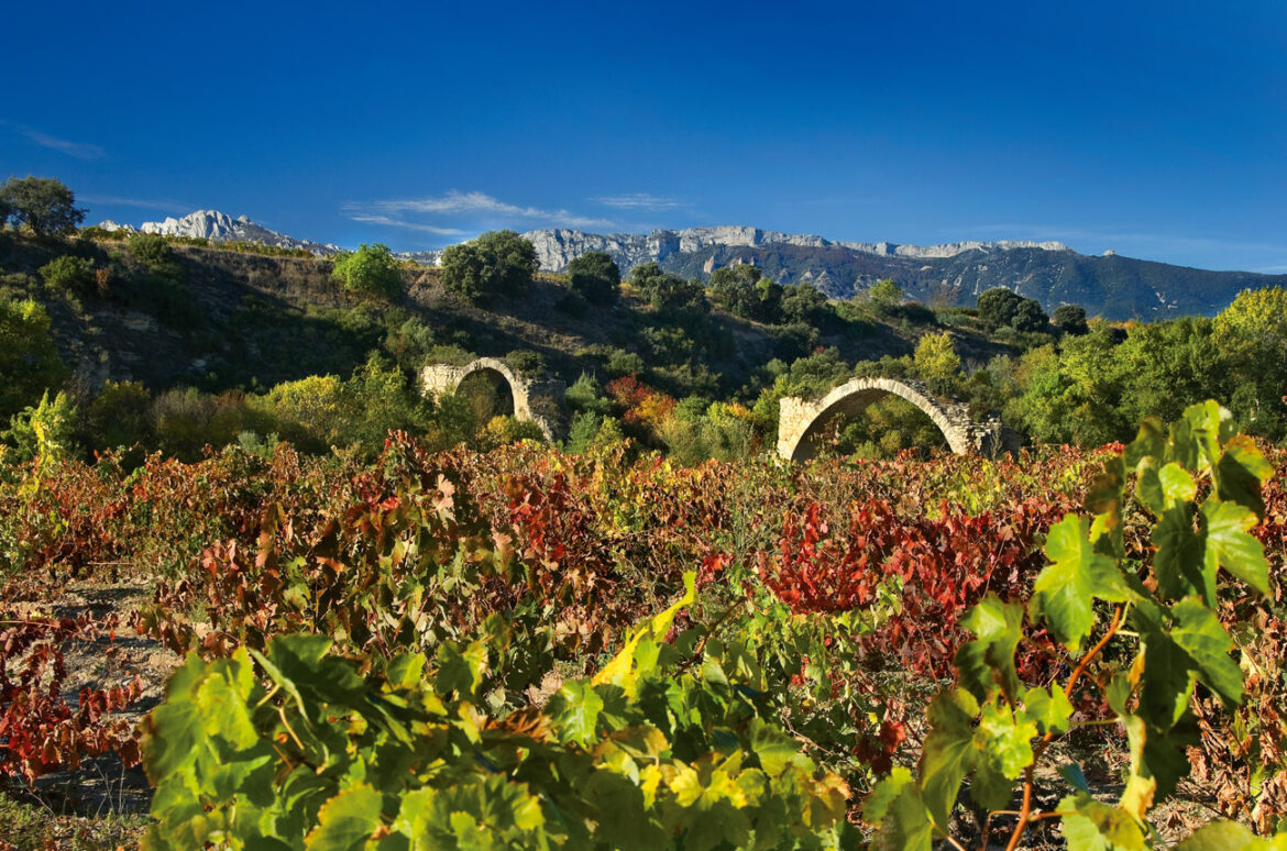 Viña Eguía: A bright new take on Rioja Viña Eguía: A bright new take on Rioja