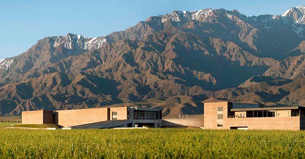 The World’s 50 Best Vineyards 2025: the 51-100 list revealed The World's 50 Best Vineyards 2025: the 51-100 list revealed