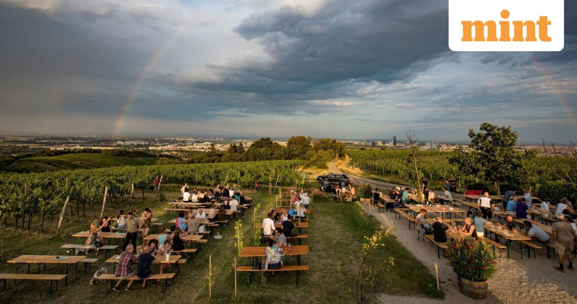 Vienna's biodynamic wine culture explained