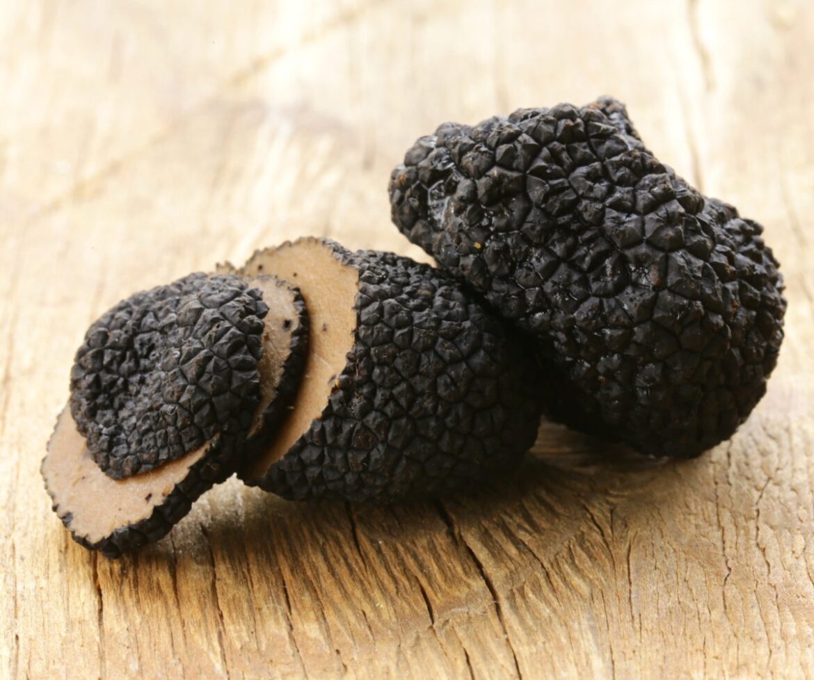 Black truffles are in trouble Black truffles are in trouble