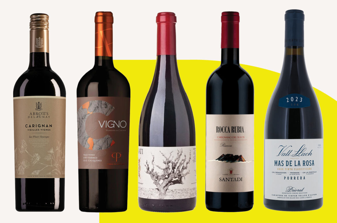 International Carignan Day: 14 awarded wines to celebrate with International Carignan Day: 14 awarded wines to celebrate with