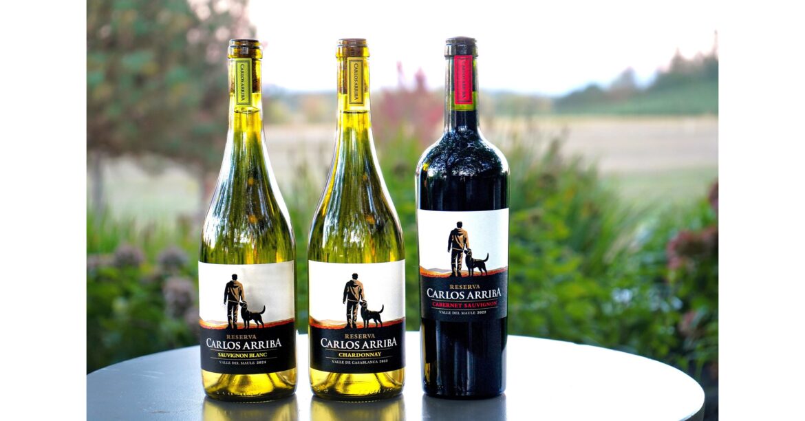 A Premium Chilean Wine Collection Exclusive to H-E-B