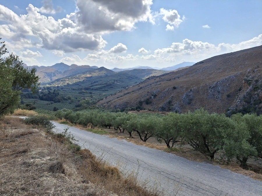 Cretan Extra Virgin Olive Oil