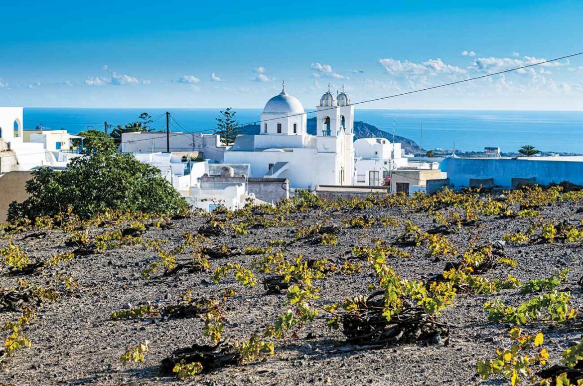 This book is ‘reminiscent of a school project’, says our reviewer This book is 'reminiscent of a school project', says our reviewer