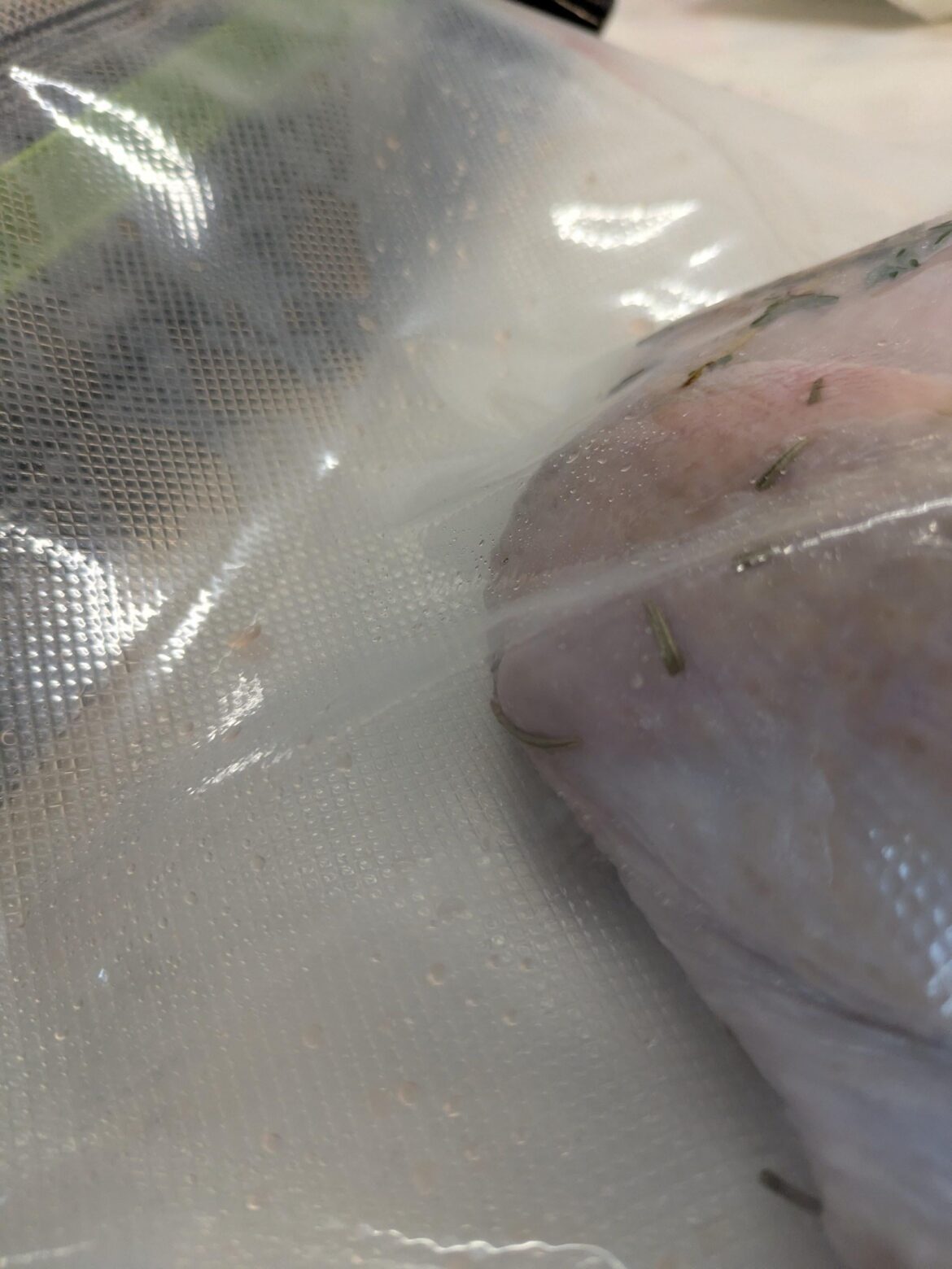 Getting air in my bags, do I need a new FoodSaver?