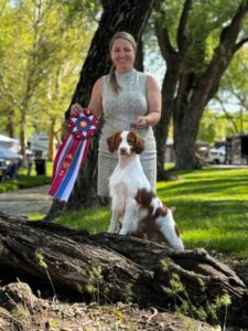 Dream Hi-Millette Instant Replay By Relyt