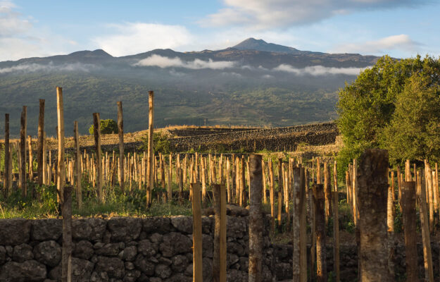 “Barolo & Etna”, the alliance of two iconic territories of our country conquers Paris “Barolo & Etna”, the alliance of two iconic territories of our country conquers Paris
