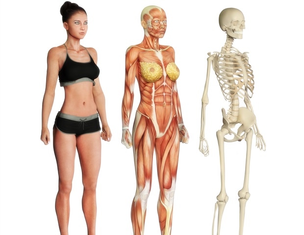 Study explores lasting effects of maternal diet on food choices