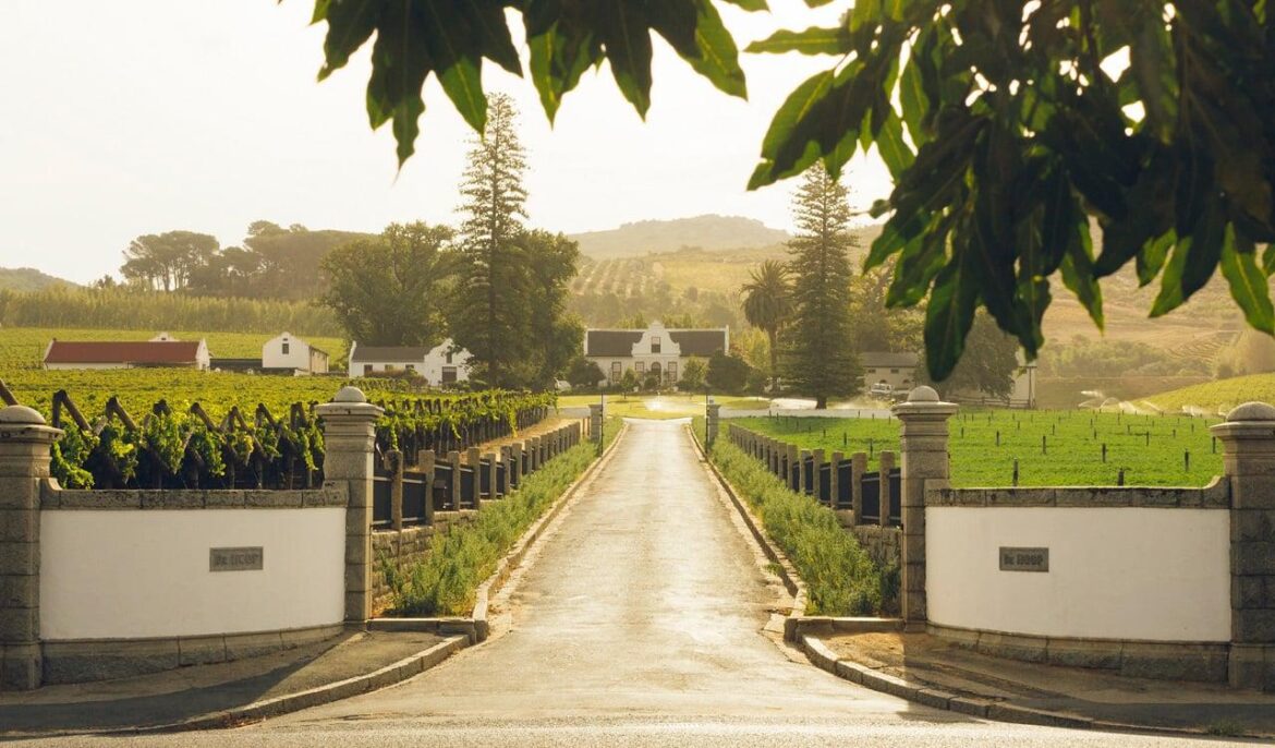 Six Cape vineyards named among the world’s best, with two cracking the Top 10 Six Cape vineyards named among the world’s best, with two cracking the Top 10
